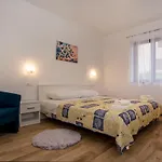 Dragica * Ρόβινι